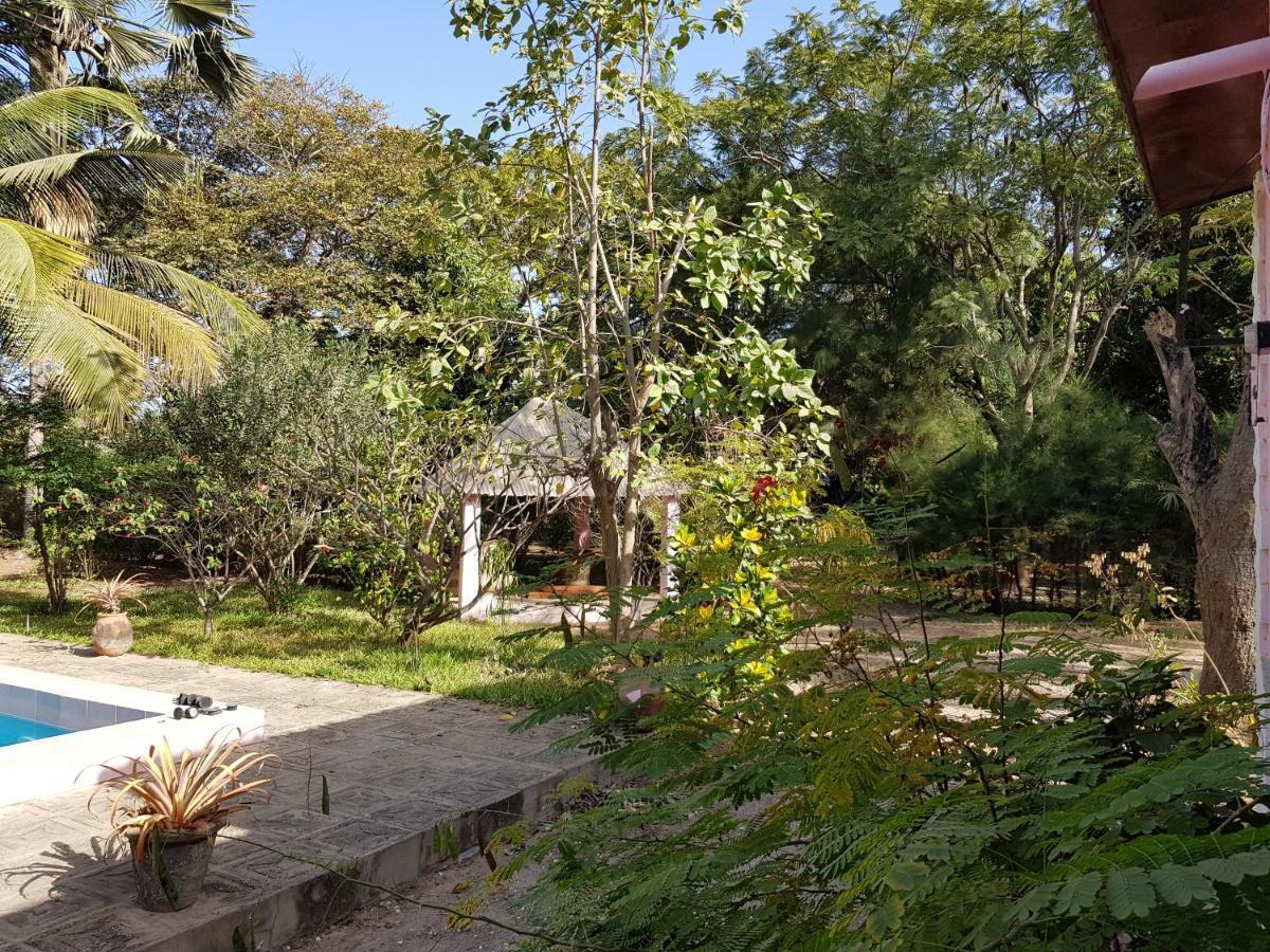 Villa Amarant - Private Garden with Pool Retreat Sanyang Buitenkant foto